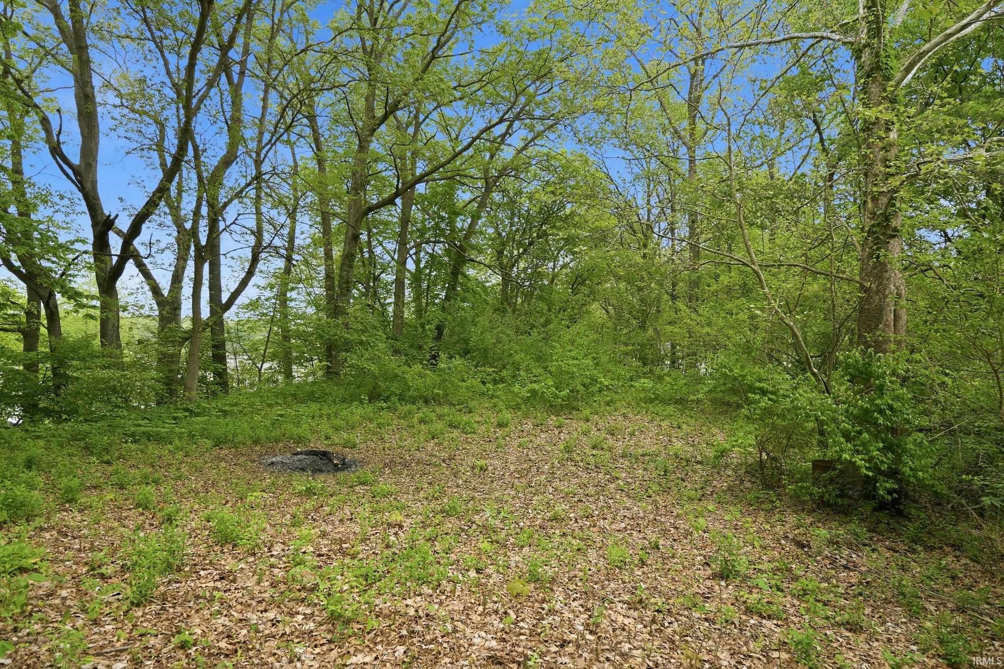 Image of 000 Ln 131c Turkey Lake