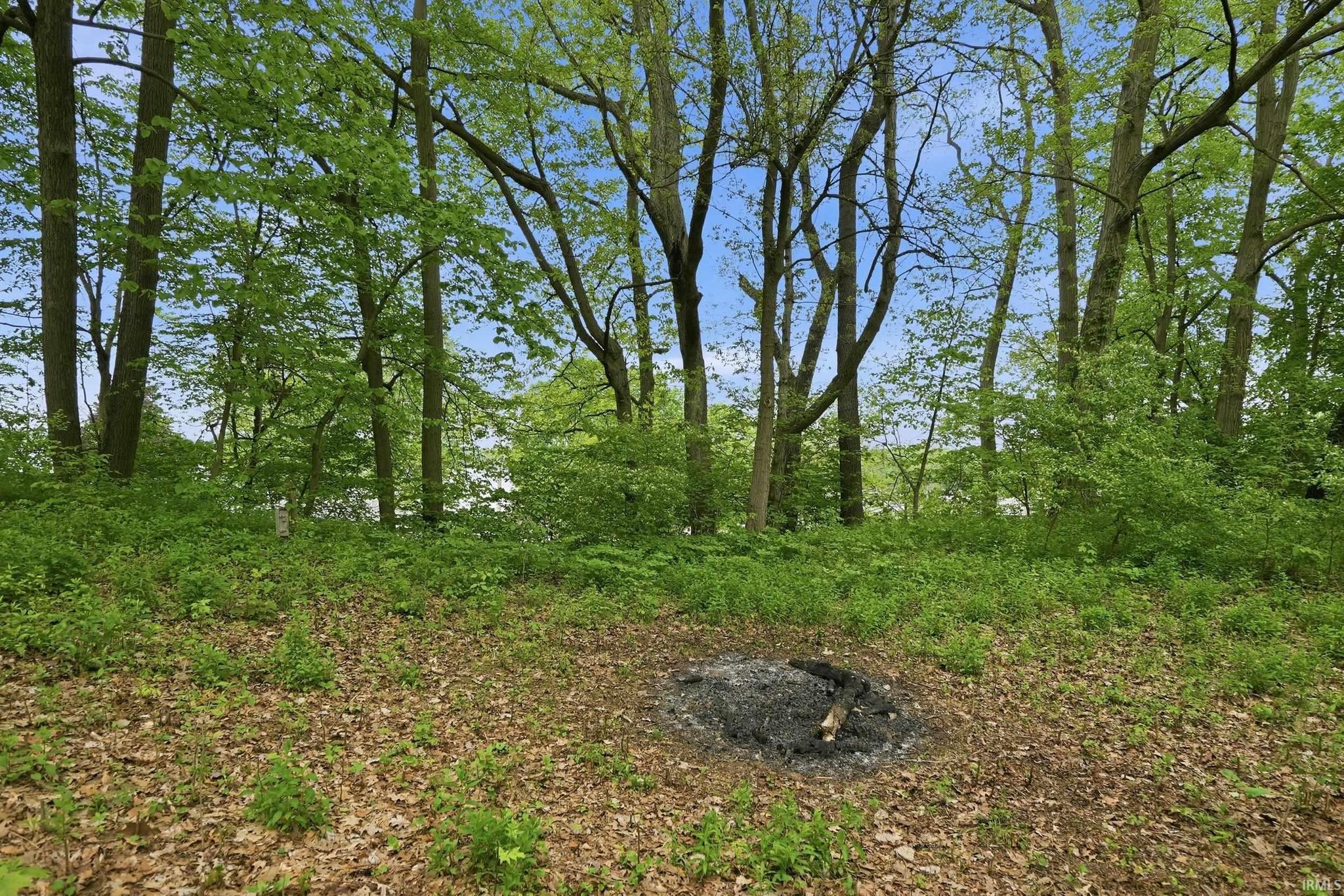 Image of 000 Ln 131c Turkey Lake