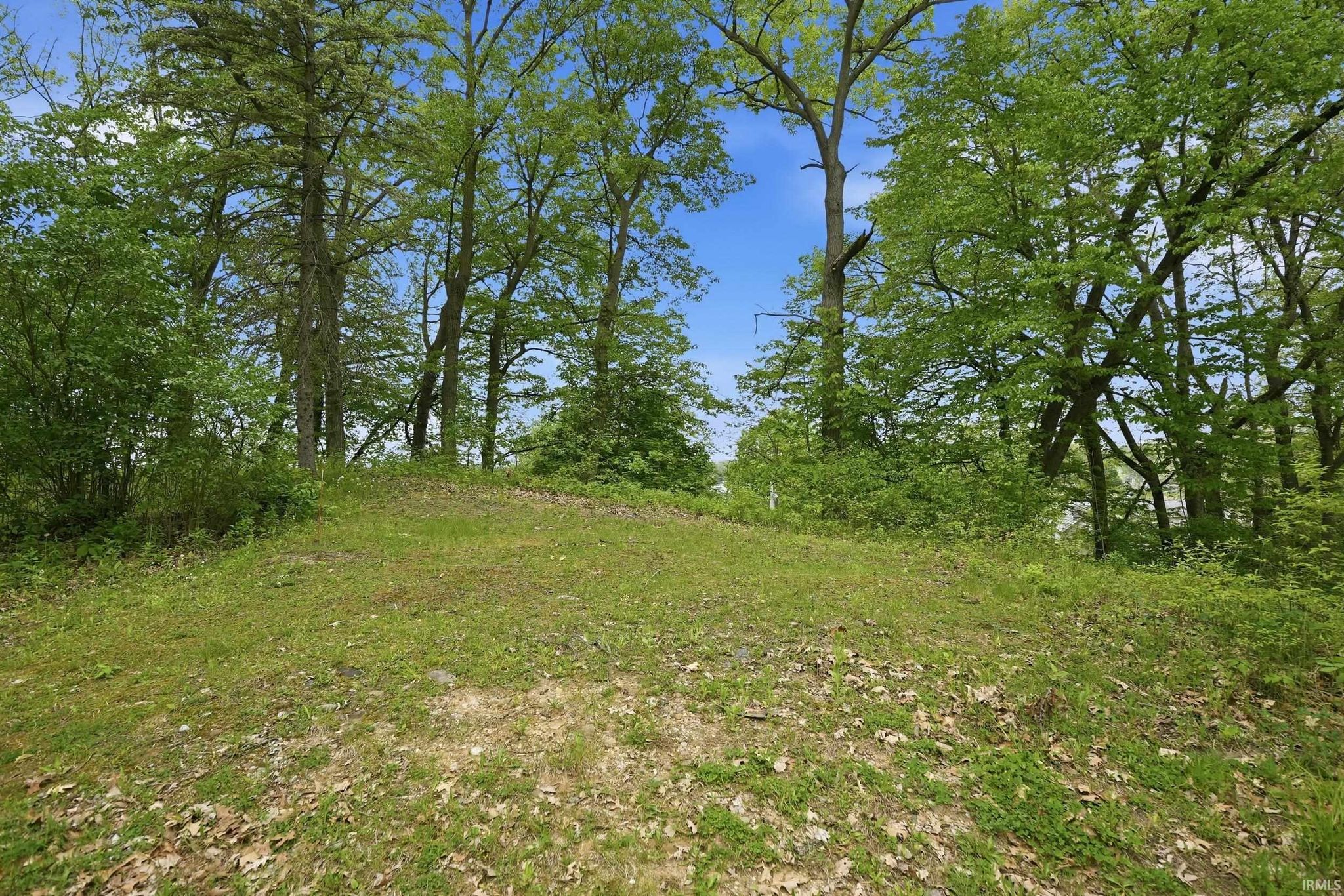 Image of 000 Ln 131c Turkey Lake