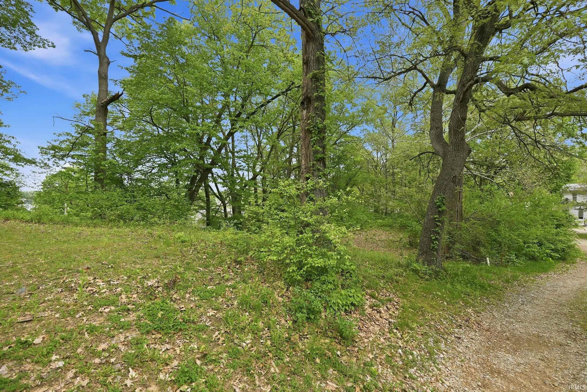 Image of 000 Ln 131c Turkey Lake