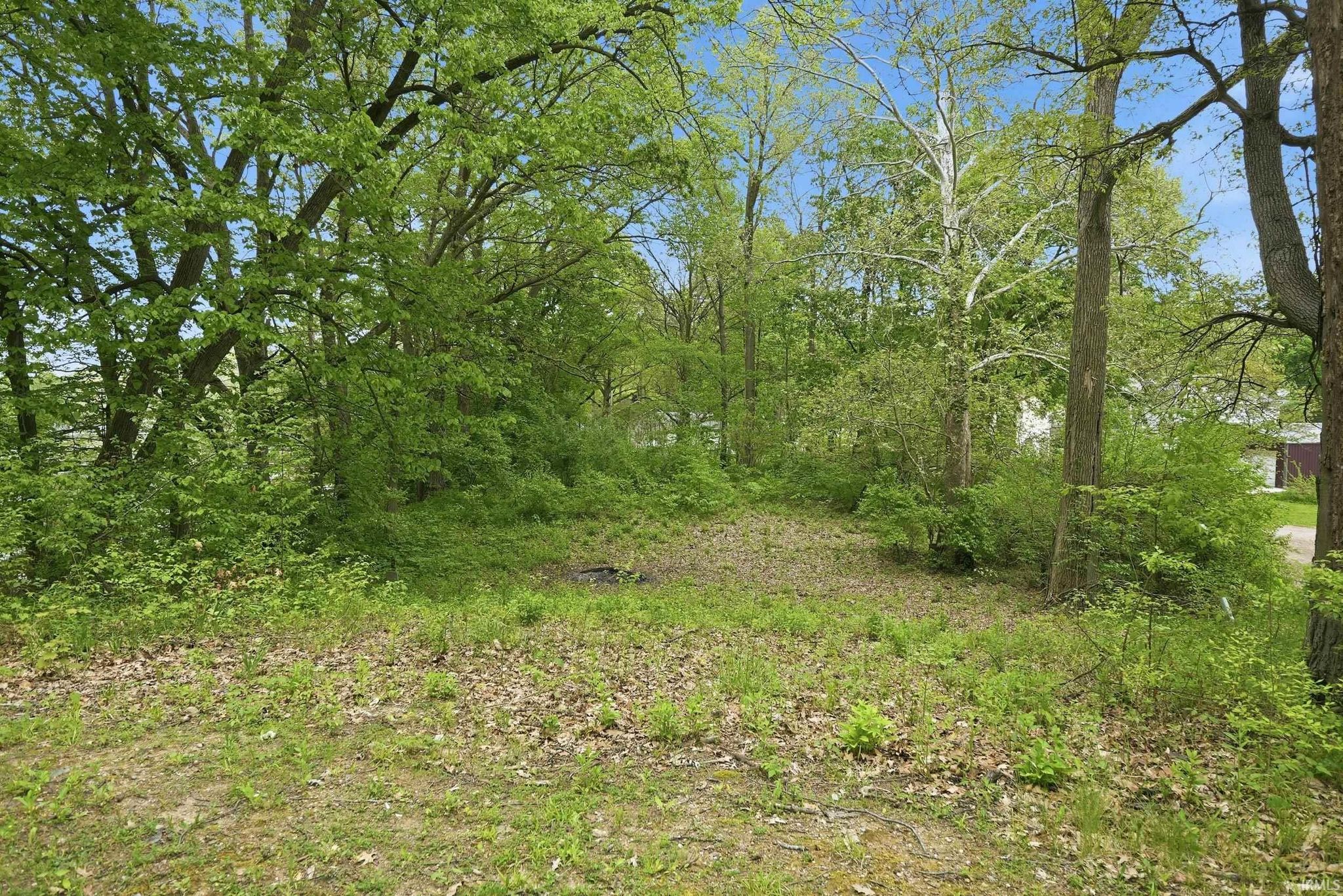 Image of 000 Ln 131c Turkey Lake