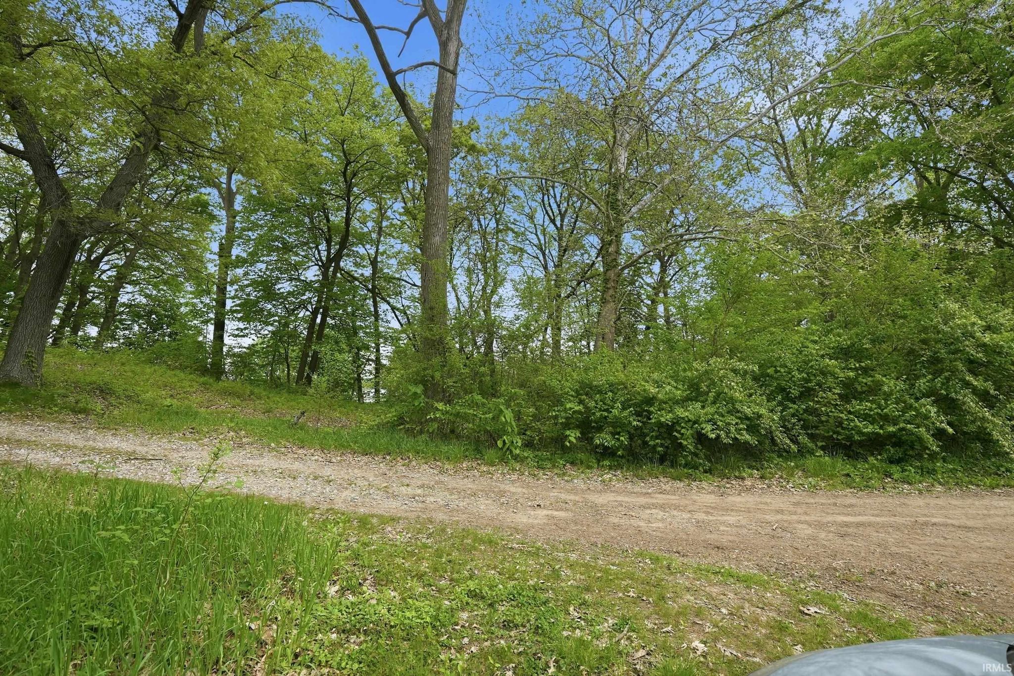 Image of 000 Ln 131c Turkey Lake