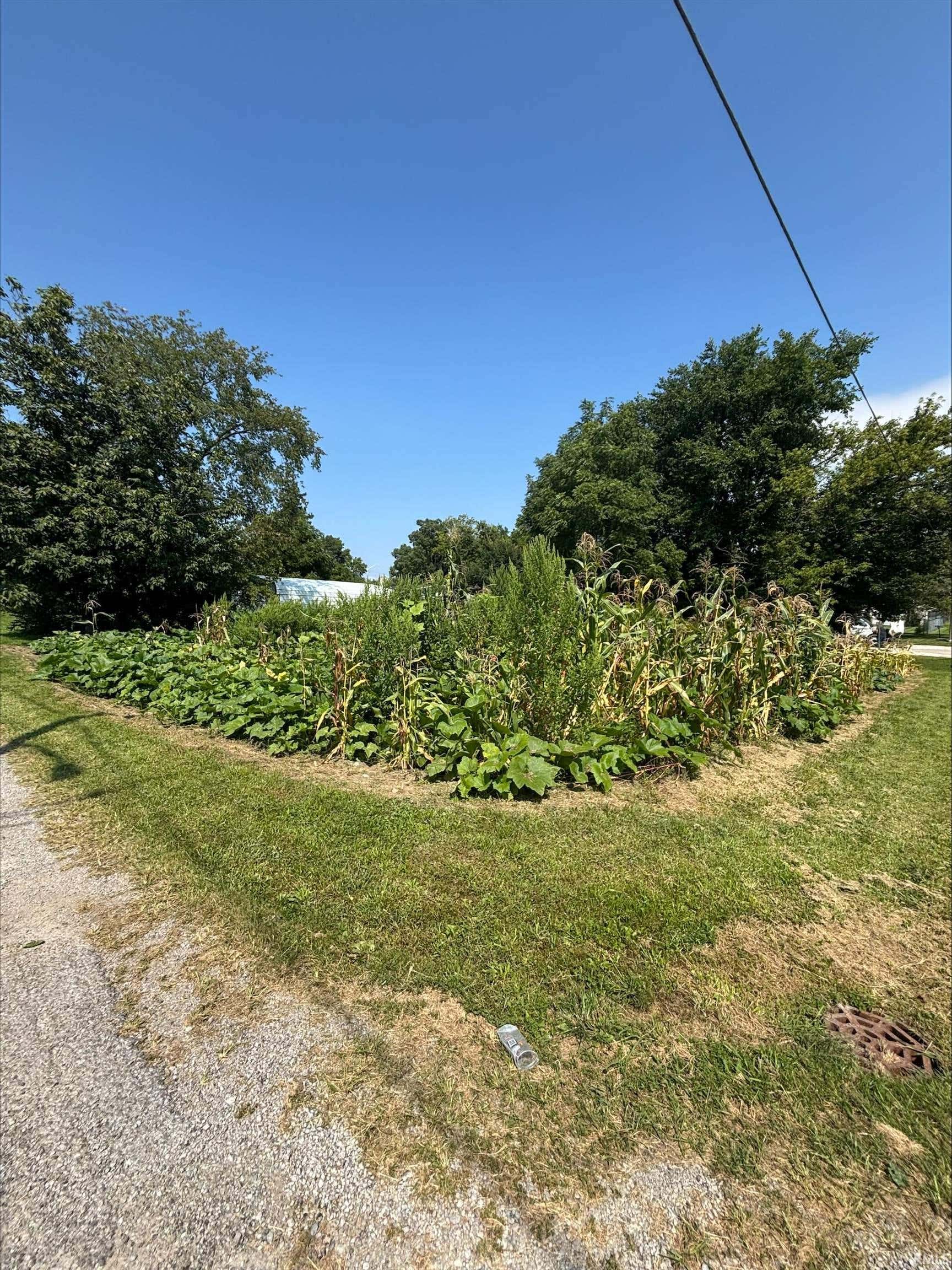 Image of 0000 Webster Street