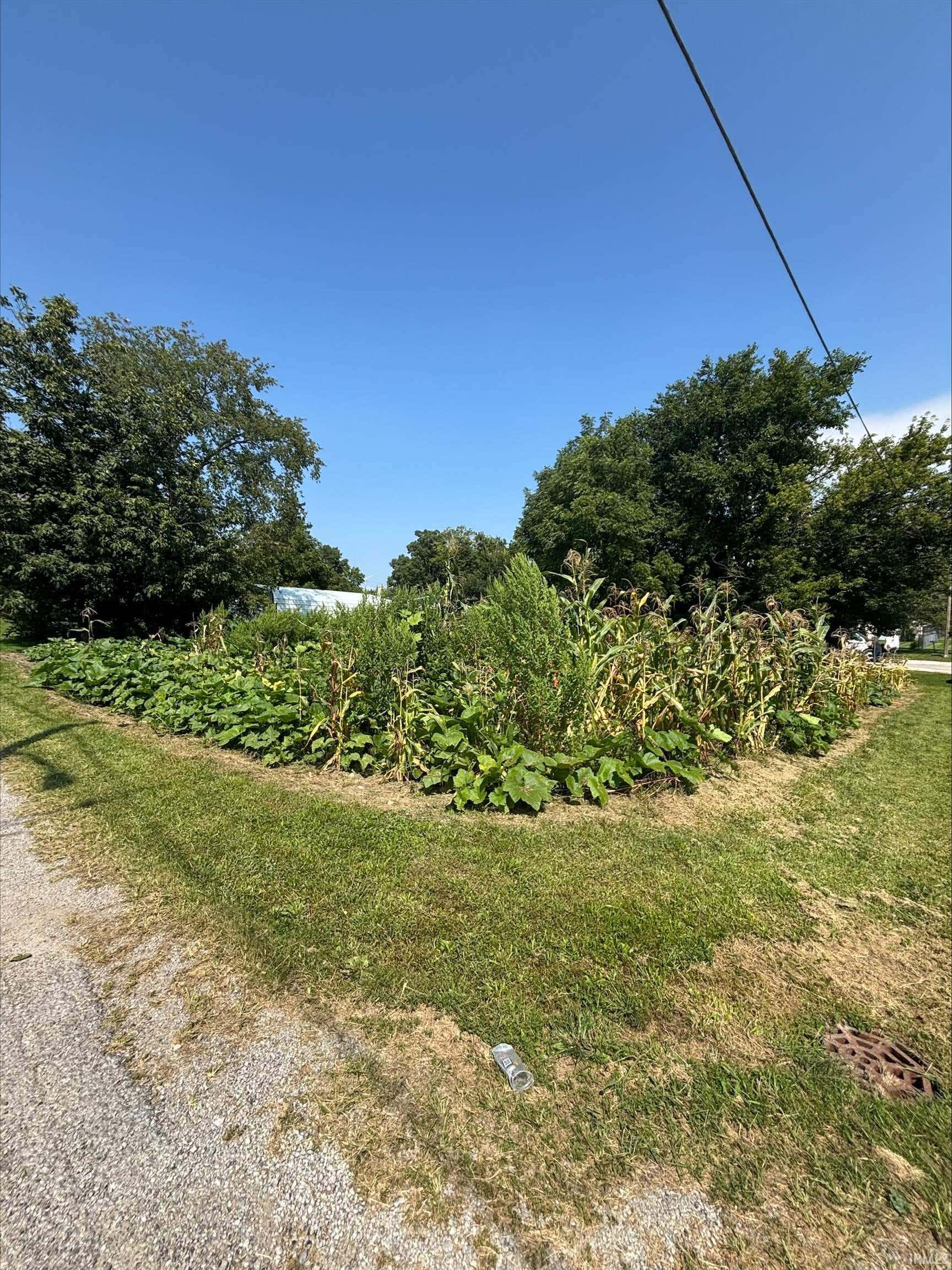 Image of 0000 Webster Street